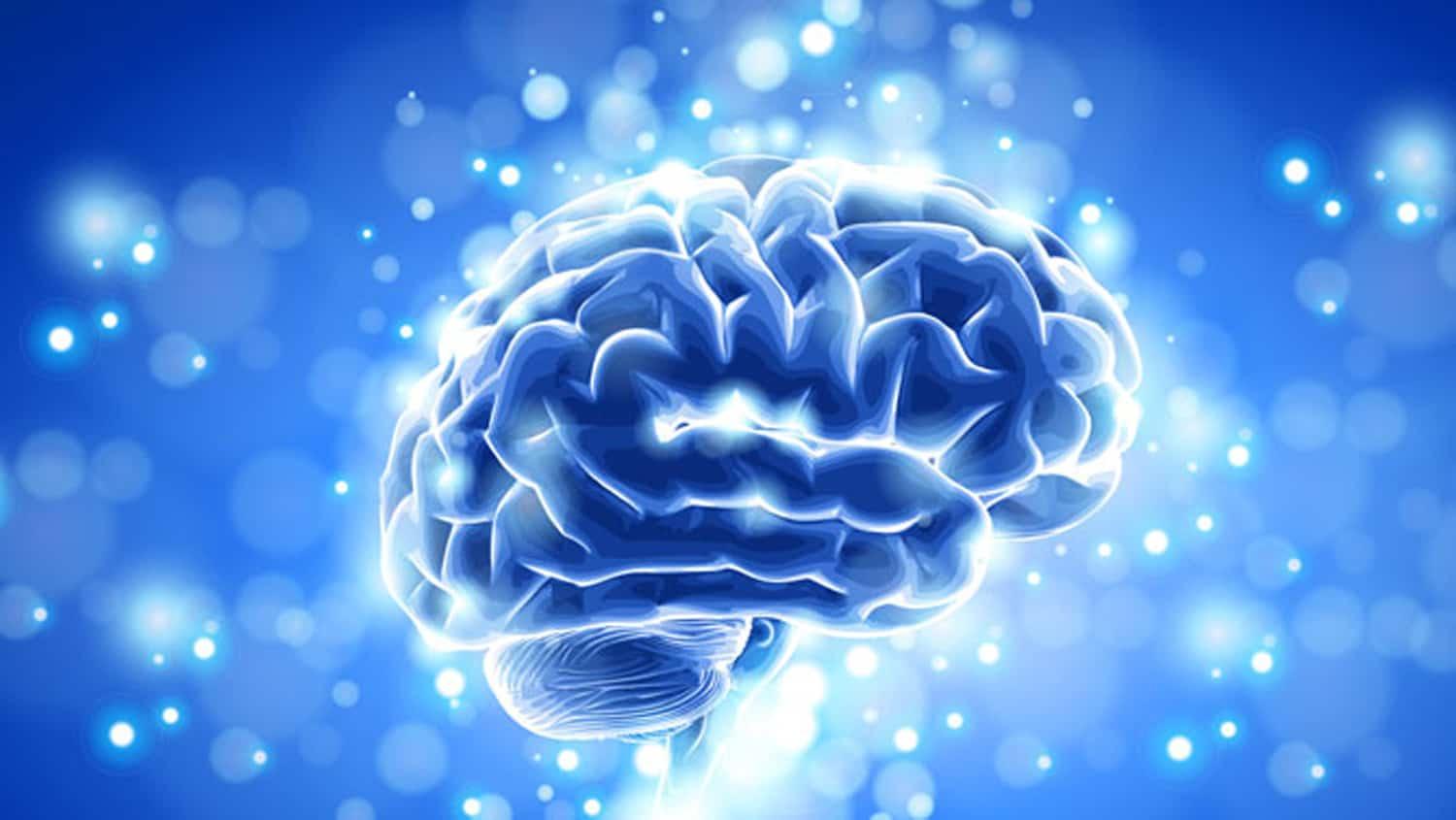 Hvordan NMN styrker hjernen - energi, fokus og mental klarhet på cellenivå